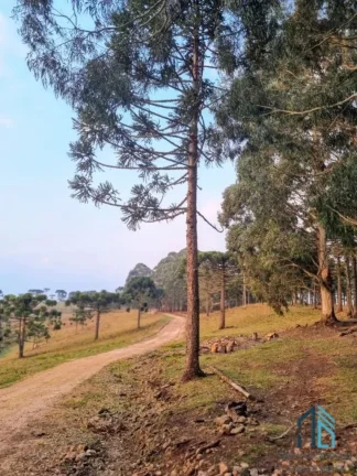 Imagem Sítio/Chácara a venda com 33 hectares bem localizado no interior de São Joaquim - SC