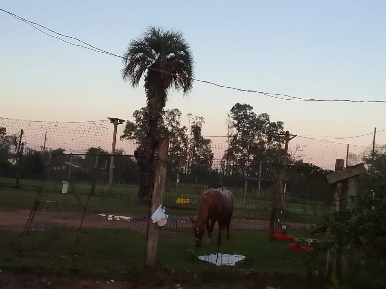 Imagem Sítio no Rincão
