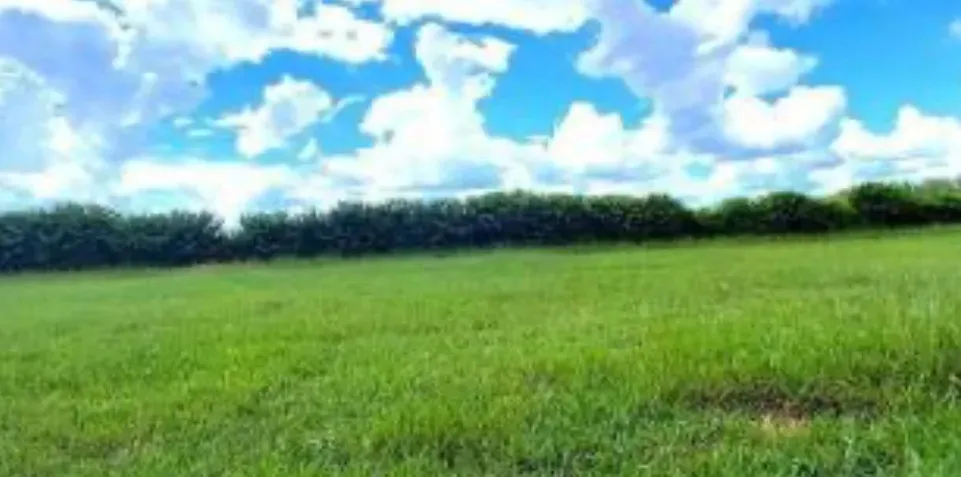 Imagem Terreno em condomínio à venda em Águas de Santa Bárbara-SP, bairro Thermas de Santa Barbara, 500m² de área.
