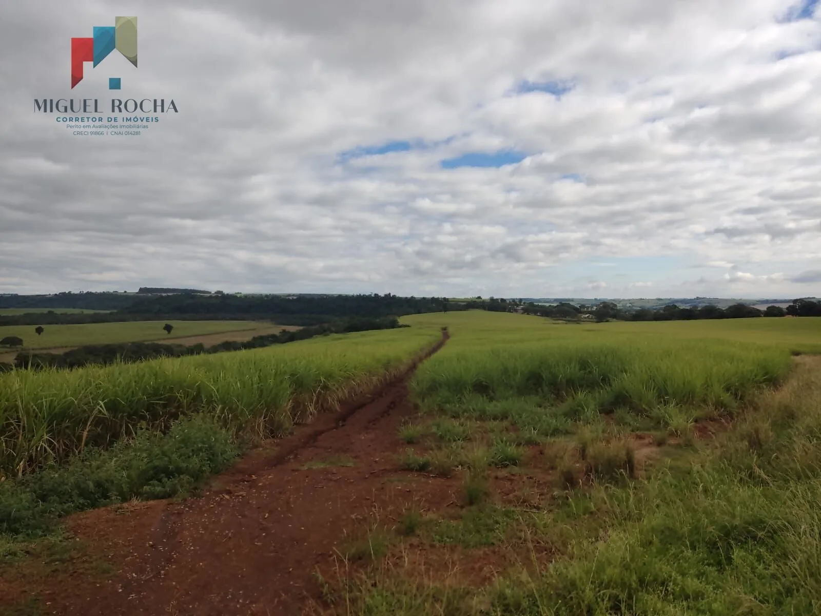Imagem Fazenda região de Tatuí SP