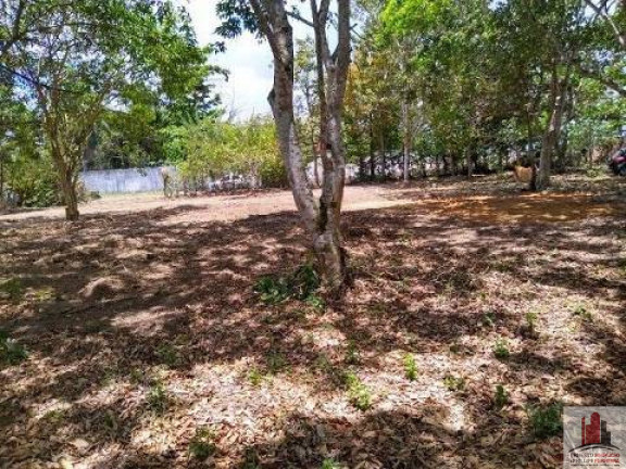 Imagem Terreno à Venda, 50.000 m² em Aldeia dos Camarás - Camaragibe