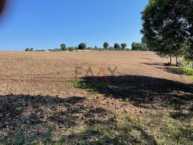 Imagem Chácara com 2,763 alqueires à venda na PALMEIRINHA em GUARAPUAVA - PR
