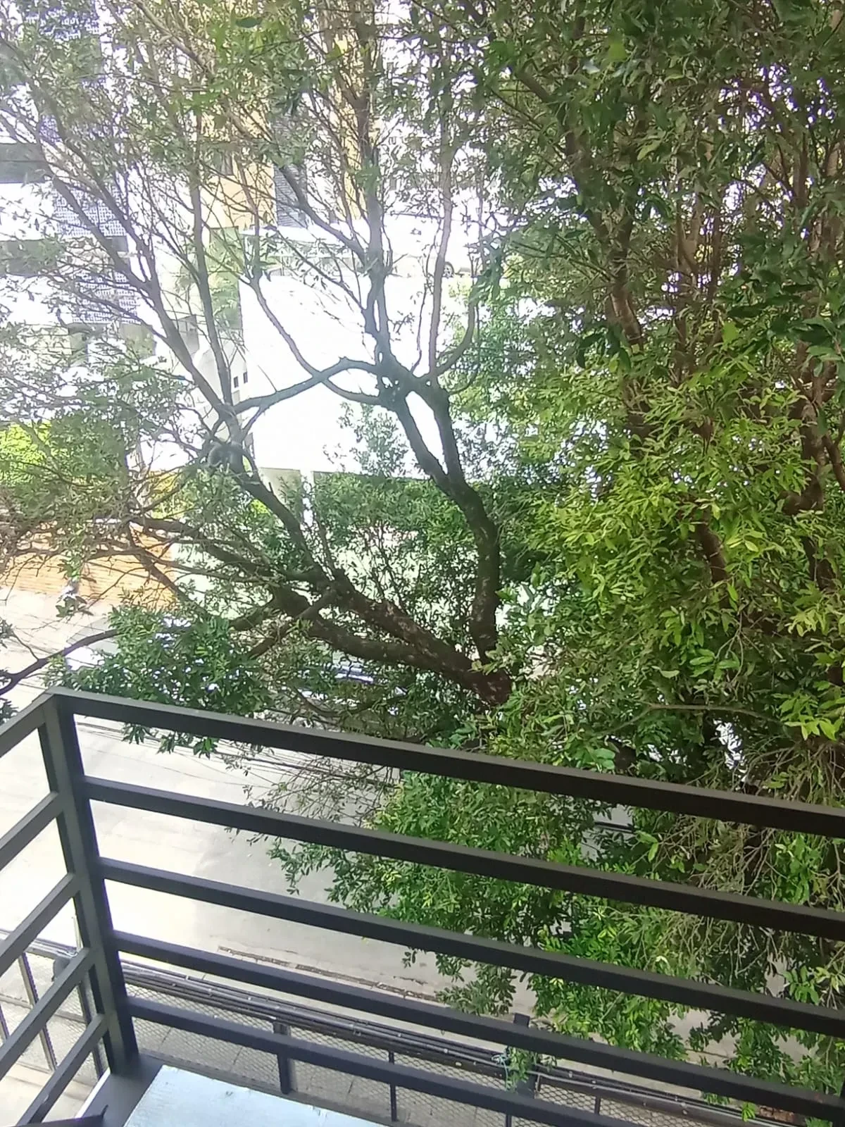 Imagem Apartamento com 3 Quartos à Venda, 75 m² em Madalena - Recife
