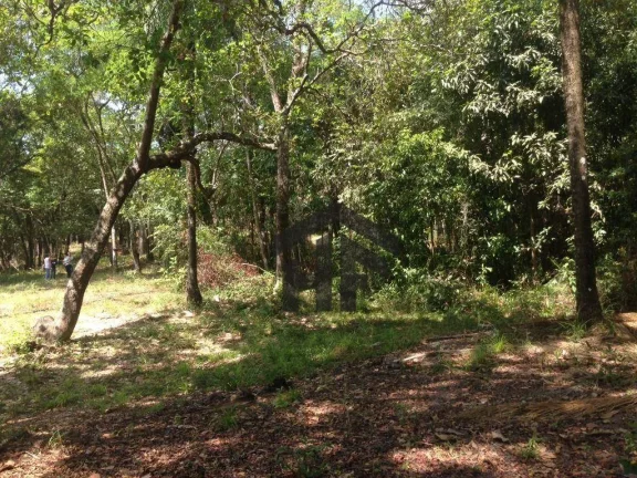 Imagem Terreno de 10.700m² à venda, localizado em Enseada dos Corais, Cabo de Santo Agostinho - Pernambuco.