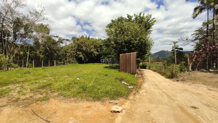 Imagem Propriedade ideal para fazer Sítio para Aluguel. Pois ja tem prontos 8 área com terraplanagem, pronto para construir.