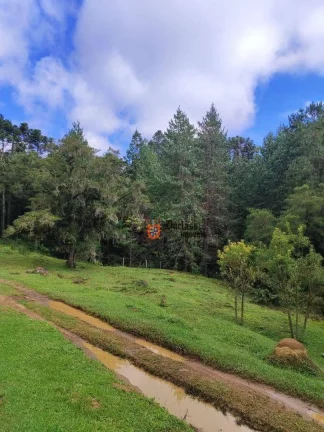 Imagem Sítio à venda, 60500 m² por R$ 905.000 - Bom Jardim - Camanducaia/MG
