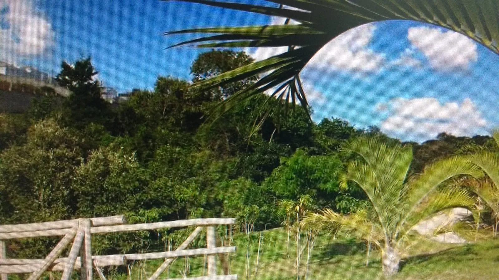 Imagem Venha conhecer a casa dos seus sonhos!