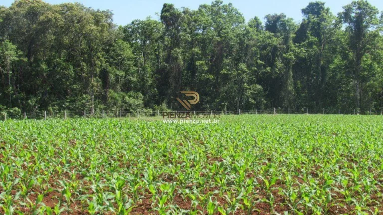 Imagem Área para Loteamento para Venda em Concórdia, São Cristóvão