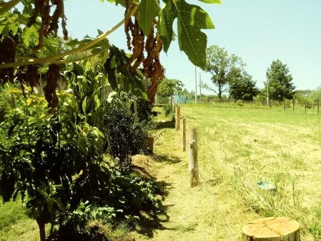 Imagem Chácara para Venda em Taquara / RS no bairro Fazenda Fialho