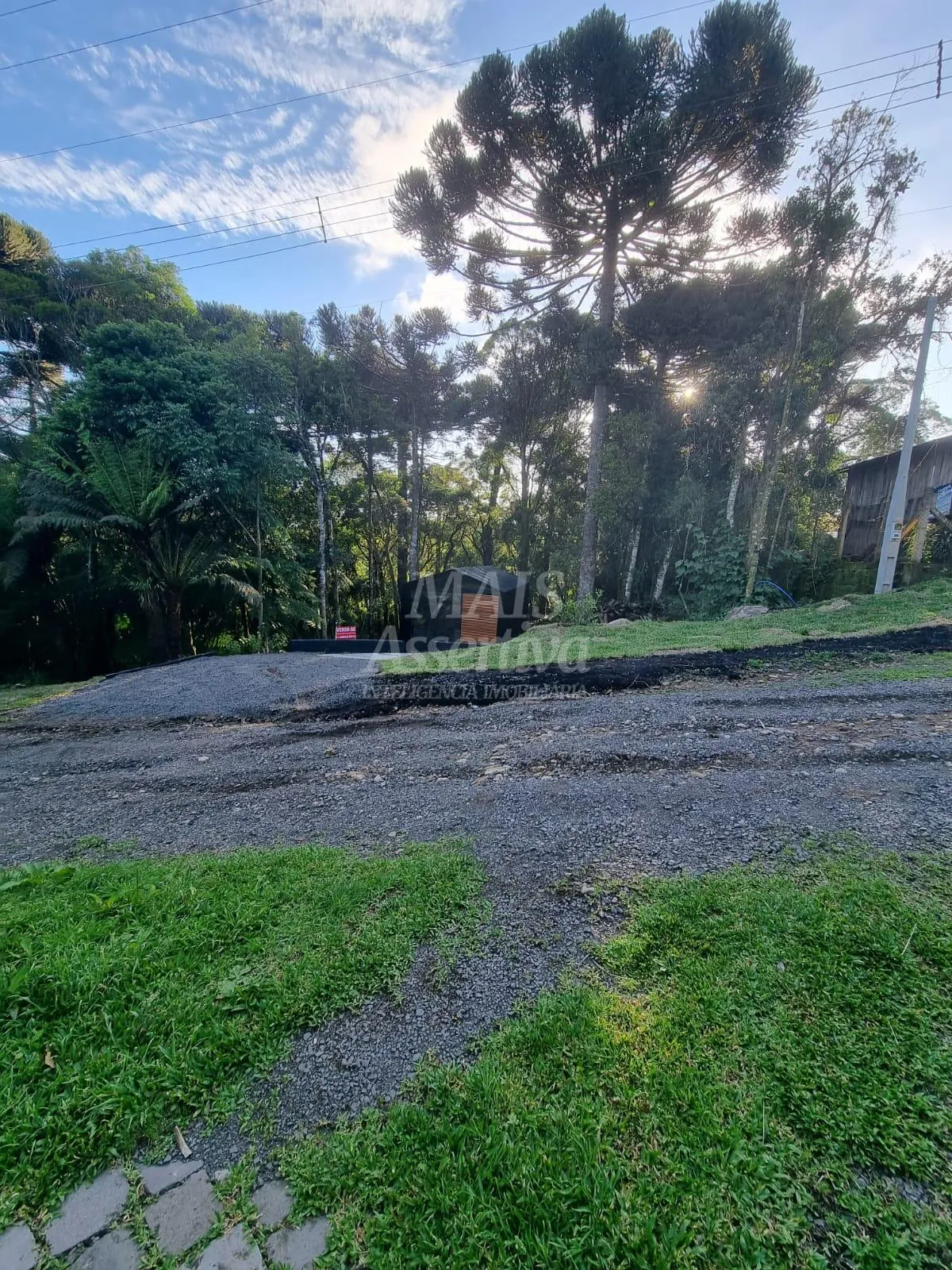 Imagem Excelente cabana a venda na serra gaúcha, São Francisco de Paula - 1 dormitório