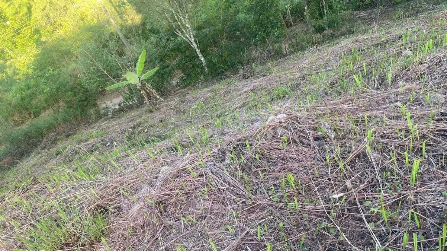 Imagem Chácara à venda 1002M², Bairro do Rio Preto, Santo Antônio do Pinhal - SP