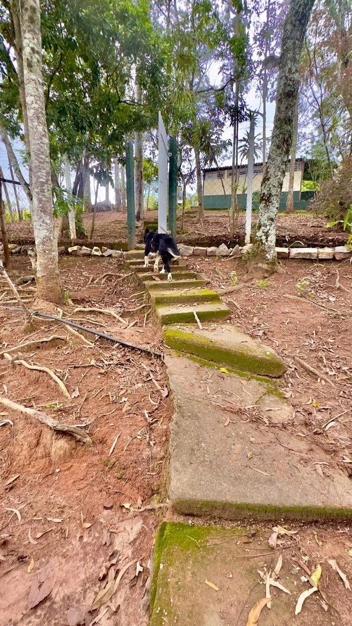 Imagem Chácara à venda 5 Quartos, 2 Suites, 2 Vagas, 12442M², Engenho d'água, Guaratinguetá - SP