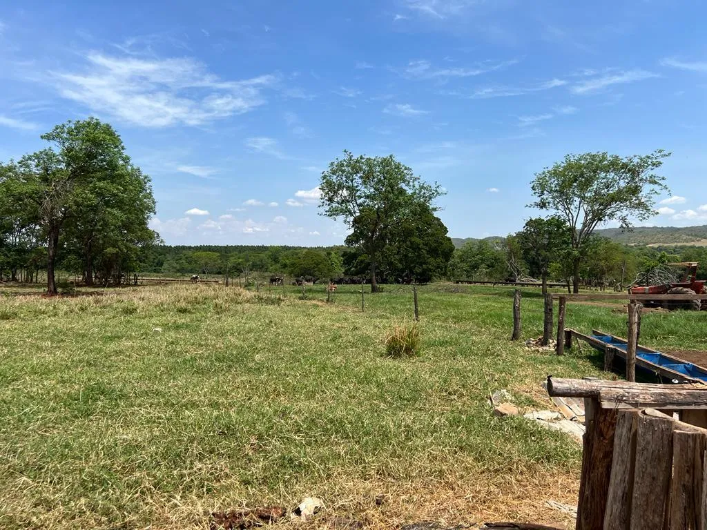 Imagem FAZENDA À VENDA - REGIÃO DE UNAÍ (MG) 1.400 hectares de terra