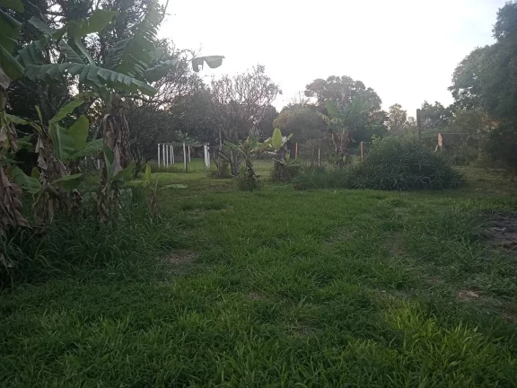 Imagem Belo sitio!!! com 2.400m², Casa e Piscina, condomínio fechado, Águas Claras