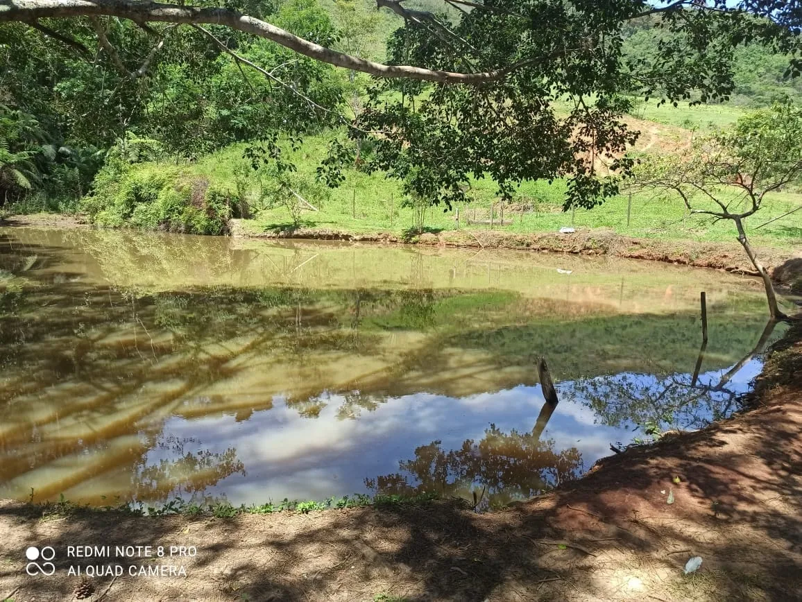 Imagem Chácara à venda 2 Quartos, 314600M², Pouso Frio, Pindamonhangaba - SP