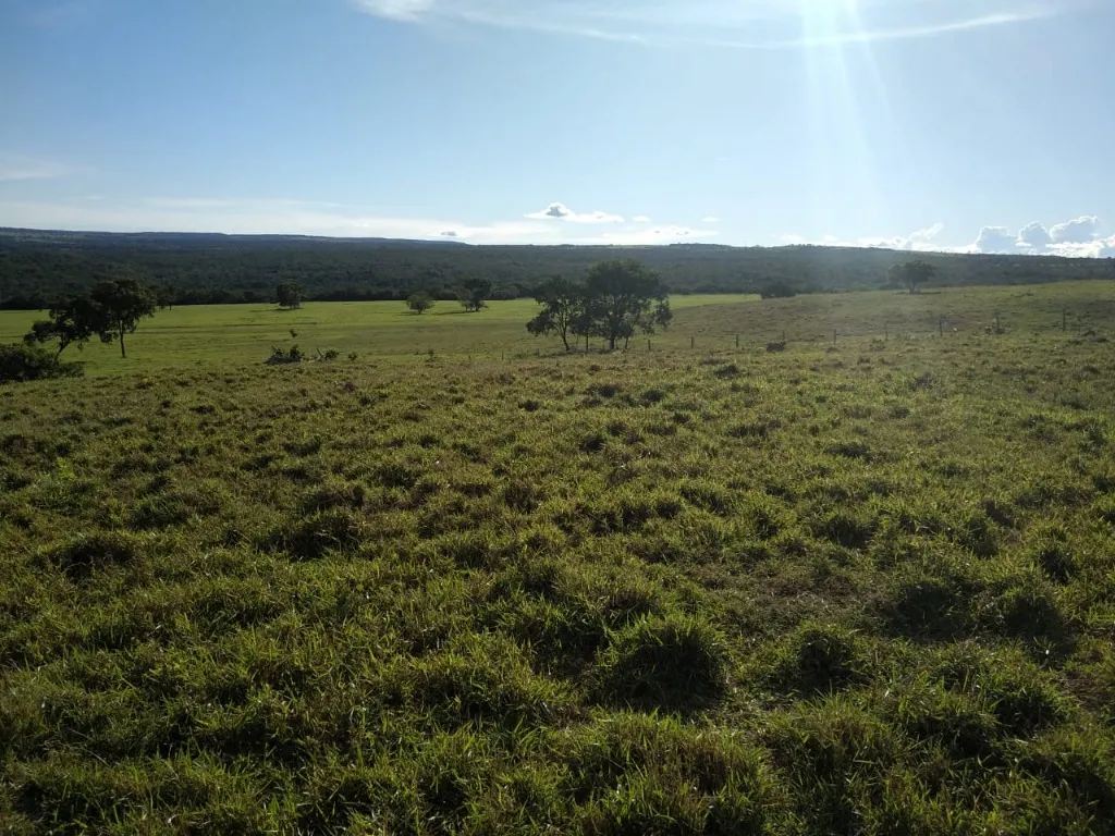 Imagem Fazenda de Rio Negro Mato Grosso do Sul-MS, Farms for sale in Brazil, farms in Brazil, Brazil farms