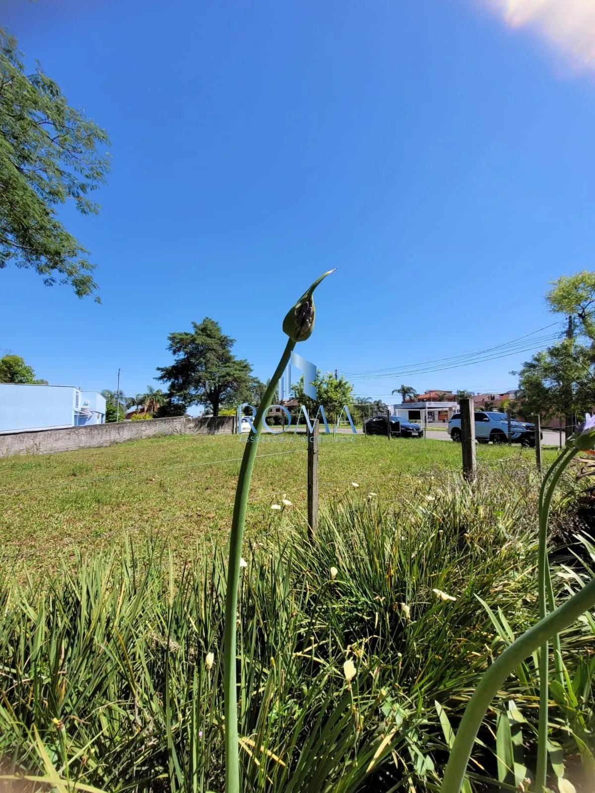 Imagem Terreno à venda São José Santa Maria/RS