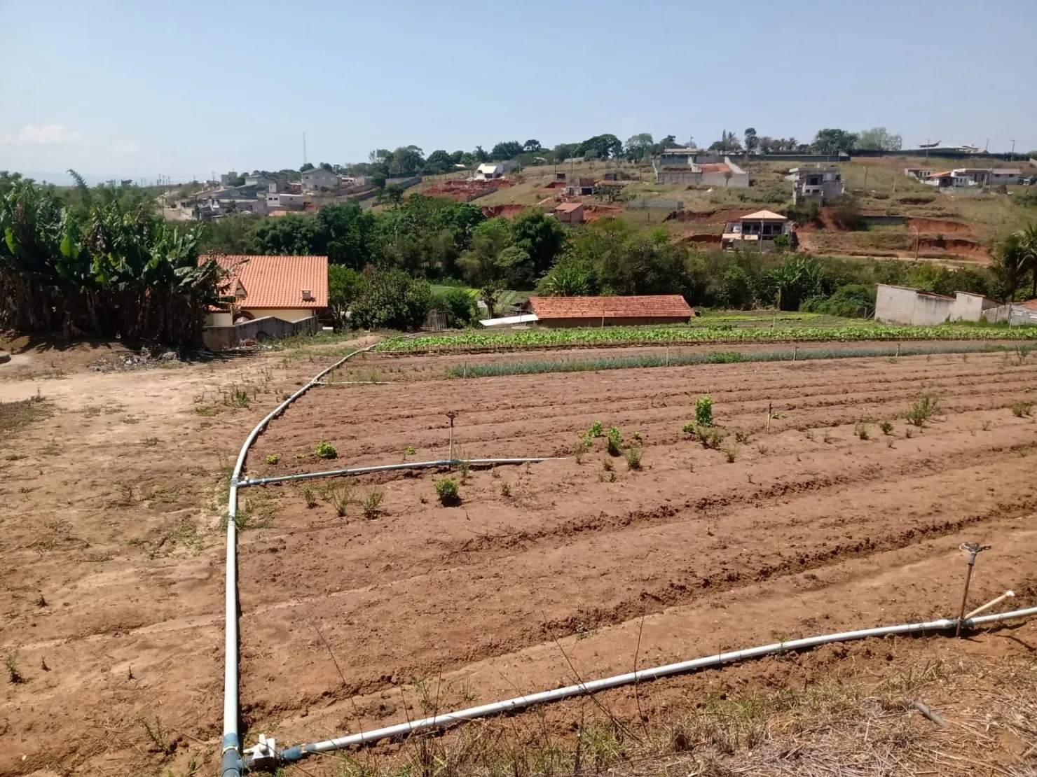 Imagem Chácara à venda 6 Quartos, 1 Suite, 15000M², Barreiro, Taubaté - SP
