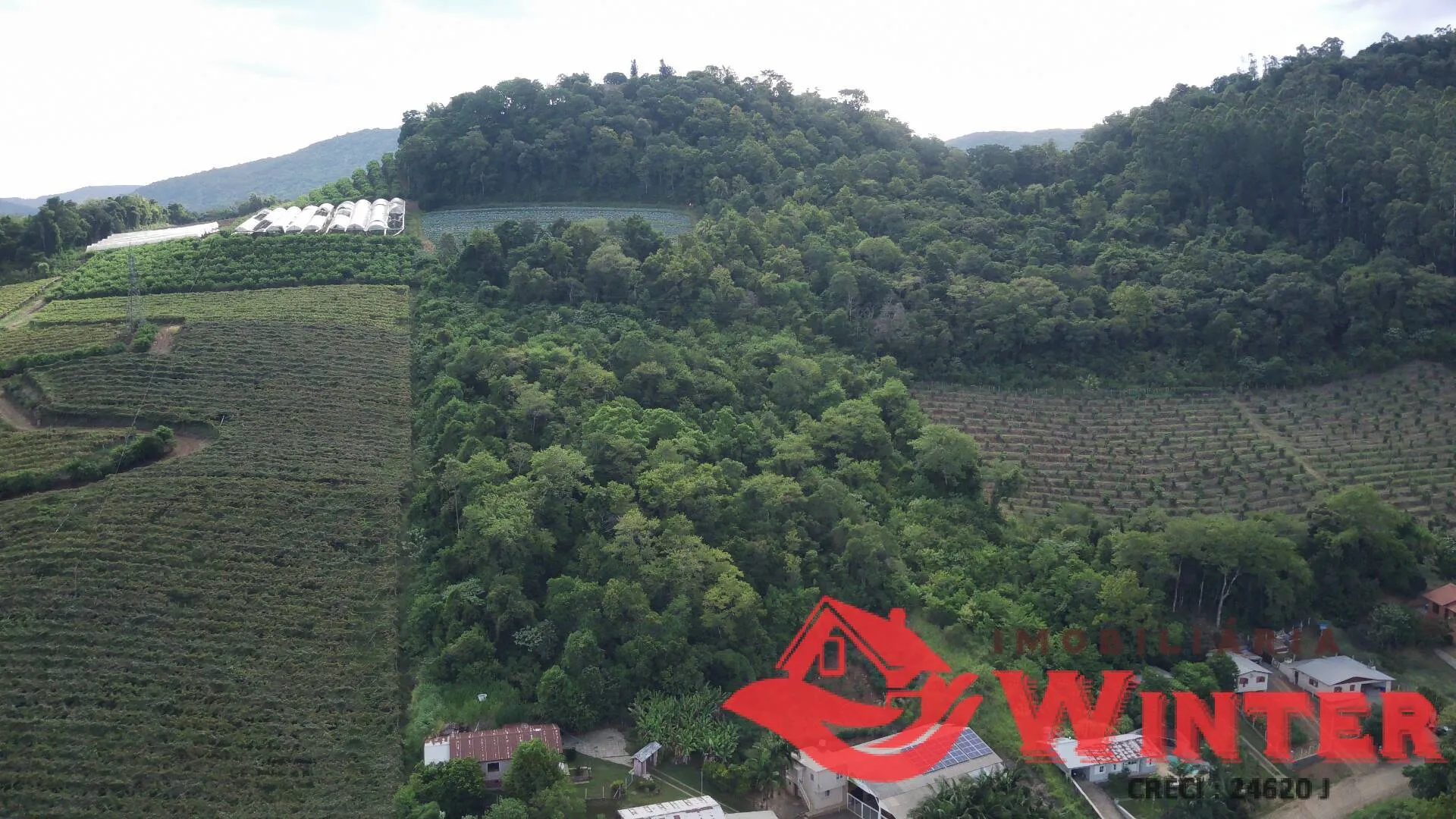 Imagem Área de terras com 16.871m2 no Picão - Feliz