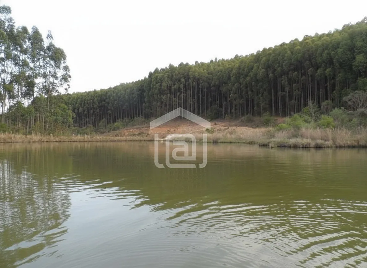 Imagem Fazenda à venda em Taquari, Caldas