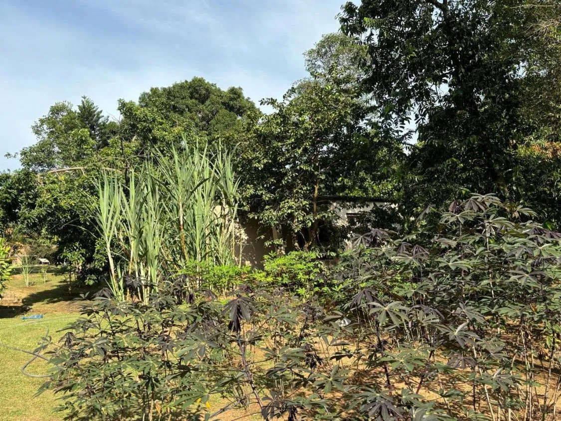 Imagem Lindo sítio a venda em Juatuba/MG , com 8.000 m²