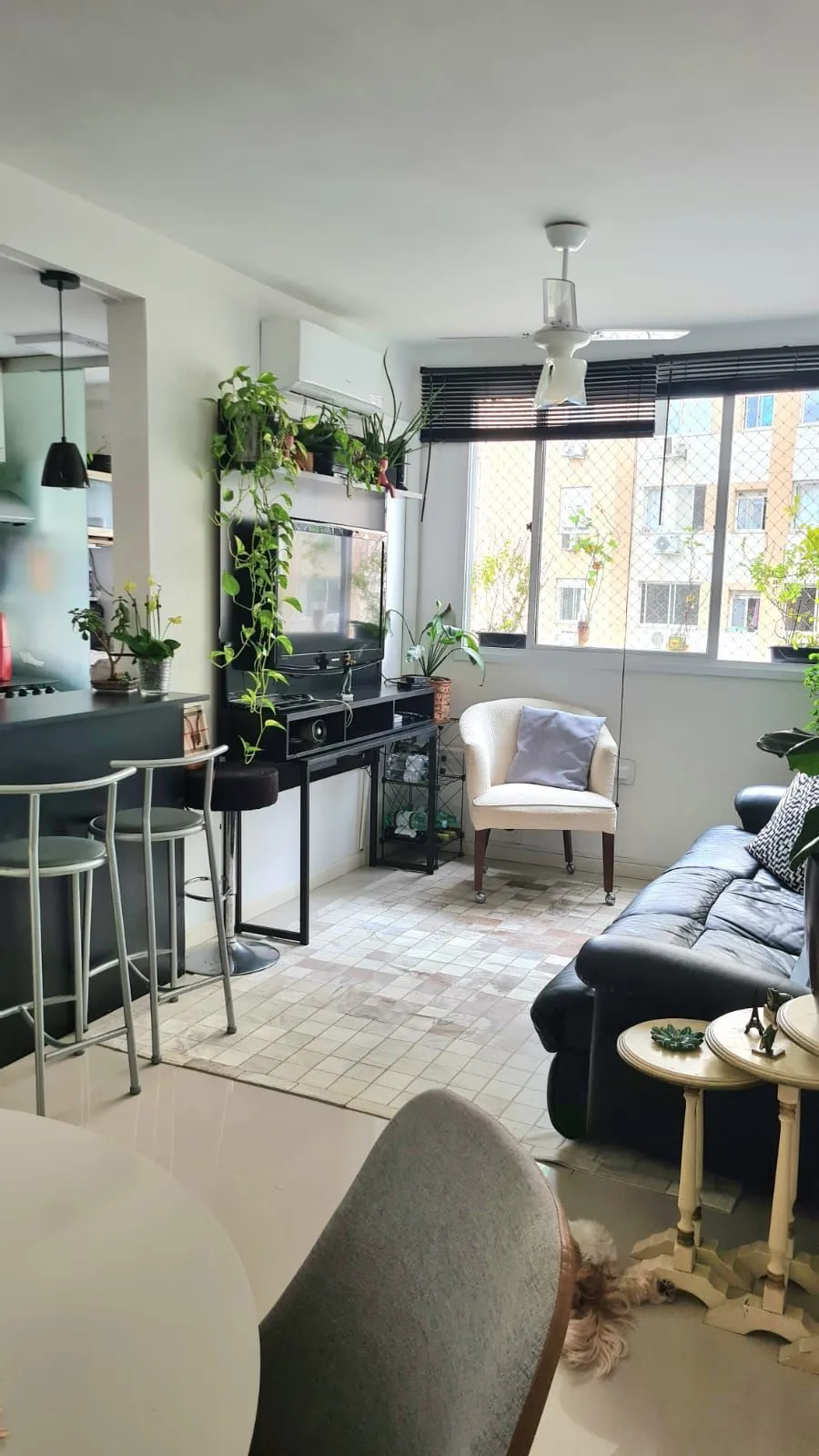 Imagem Apartamento 2 Dormitórios Jardim Carvalho