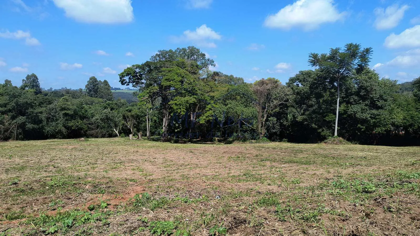 Imagem Terreno Padrão