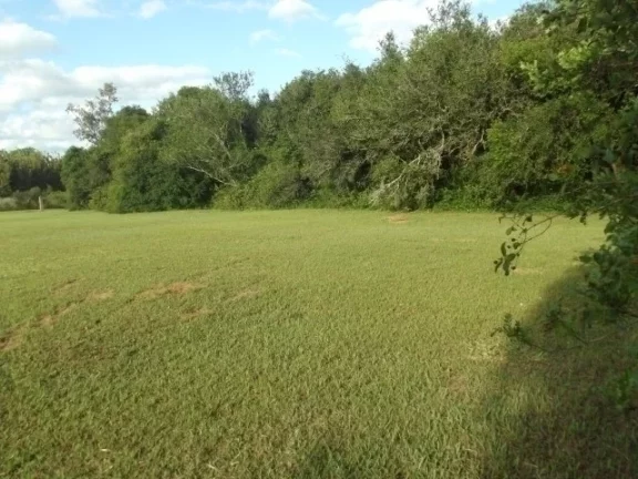 Imagem Belo Sítio com 4.000m², Cercado, Águas Claras, Viamão