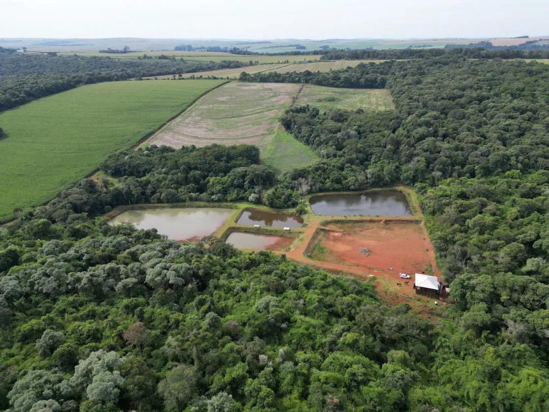 Imagem Chácara à venda em Cascavel, Centro - Casa de caseiro, Rio e Lago para pesca