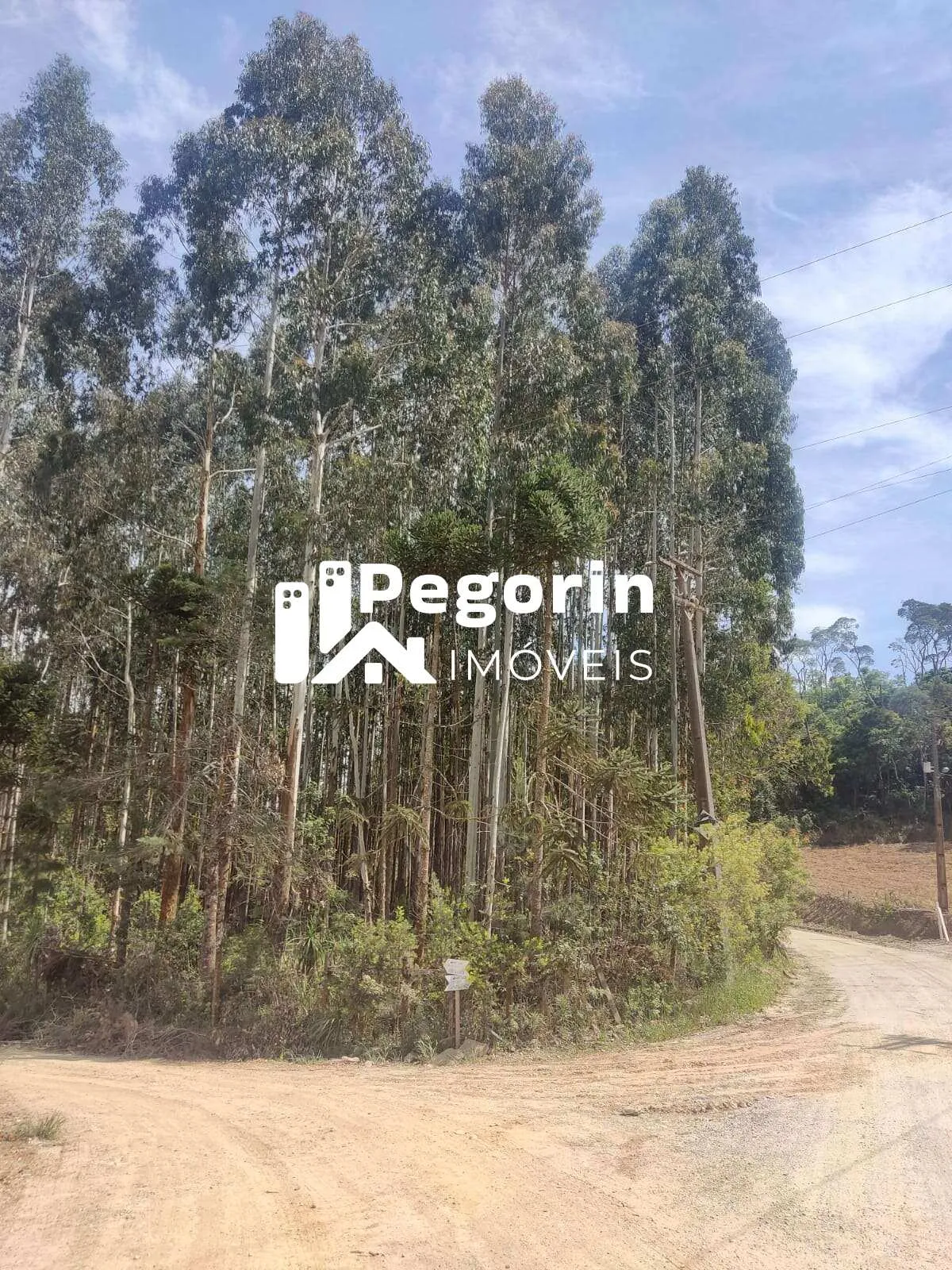 Imagem Chácara para Venda, Campo Magro / PR, bairro Hervalzinho, área total 24.397,00 m²