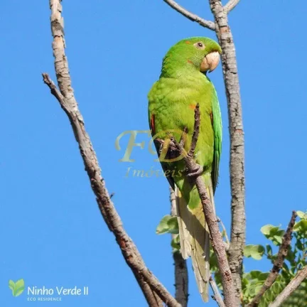 Imagem Terreno Loteamento Ninho Verde !!!