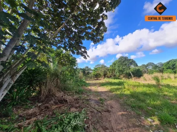 Imagem TERRENO EM CAJAZEIRAS