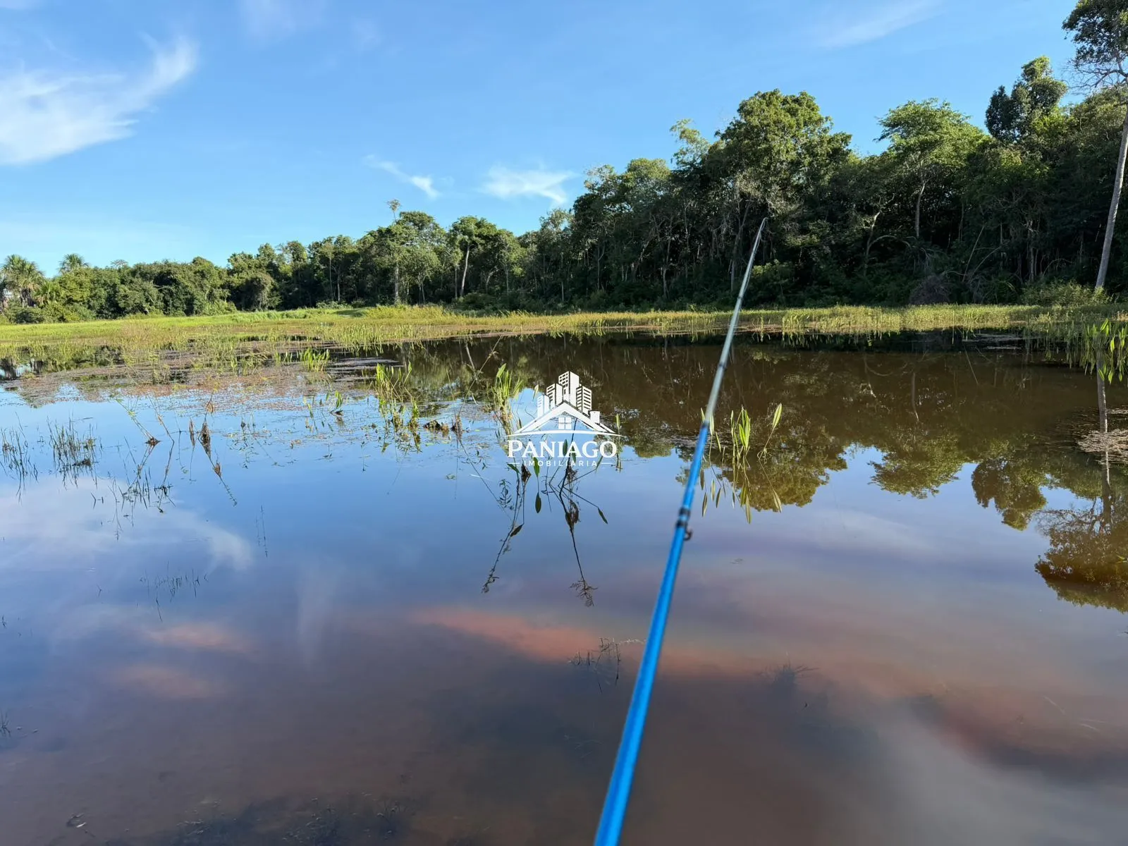 Imagem Fazenda 1550ha