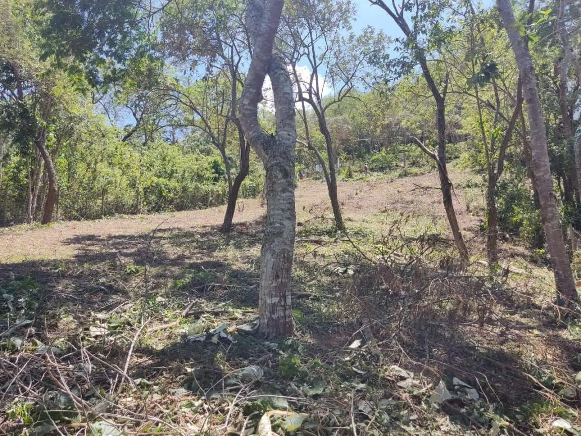 Imagem Terreno em Condomínio para Venda em Petrópolis / RJ no bairro Araras