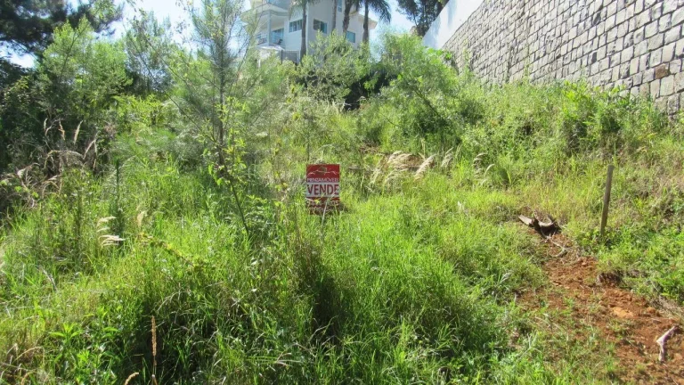 Imagem Terreno para Venda em Concórdia, Jardim