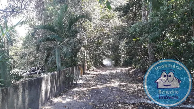 Imagem LOTES PARA VENDA TRANCOSO OPORTUNIDADE R$200.000,00