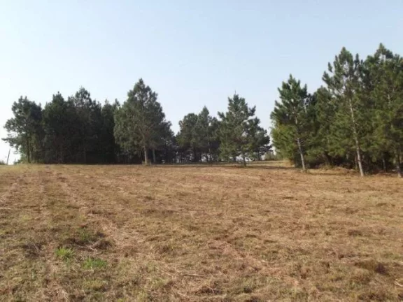 Imagem INVESTIDORES!!! Excelente área de 8 Hectares, frente RS040, Águas Claras