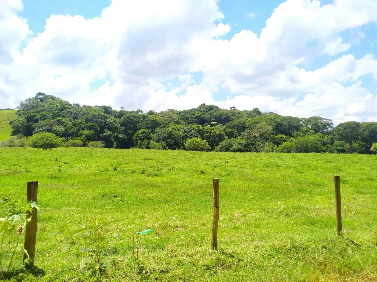 Imagem Chácara à venda 2 Quartos, 411400M², Zona Rural, Cunha - SP