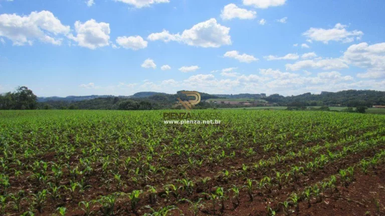Imagem Área para Loteamento para Venda em Concórdia, São Cristóvão