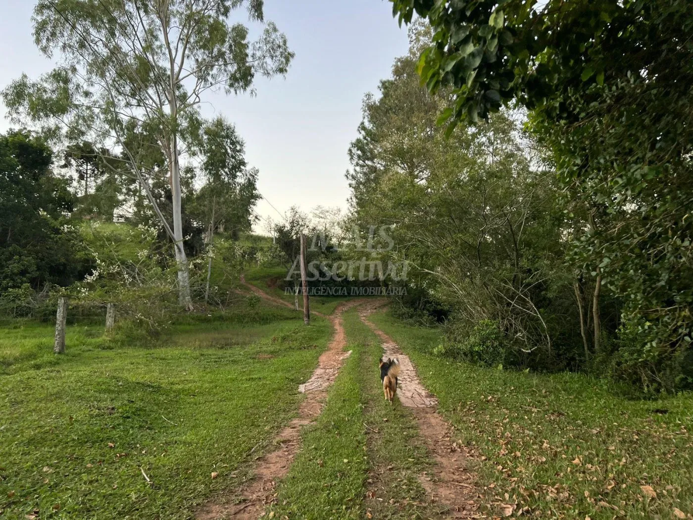 Imagem Chácara de 10 hectares para venda em Lomba Grande, Novo Hamburgo