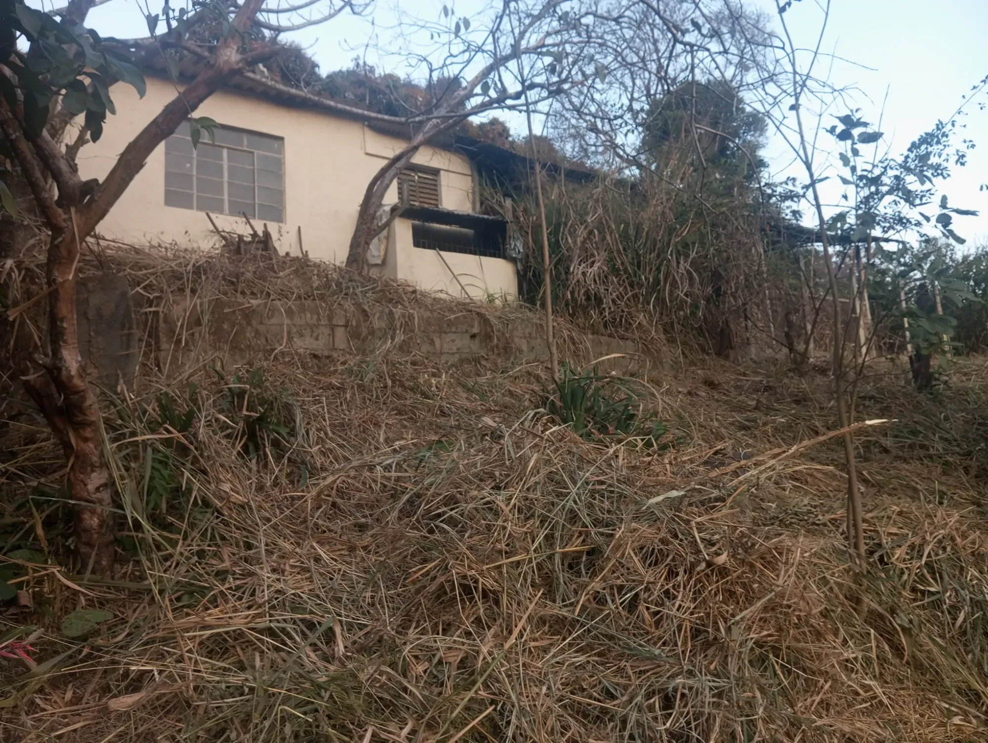 Imagem Chácara com 5 Quartos à Venda, 8.000 m² em Ravenópolis (Ravena) - Sabará