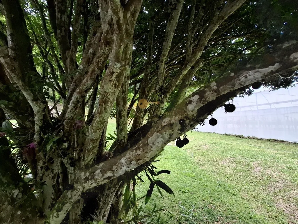 Imagem Sítio para Venda em Teresópolis / RJ no bairro Santa Rita