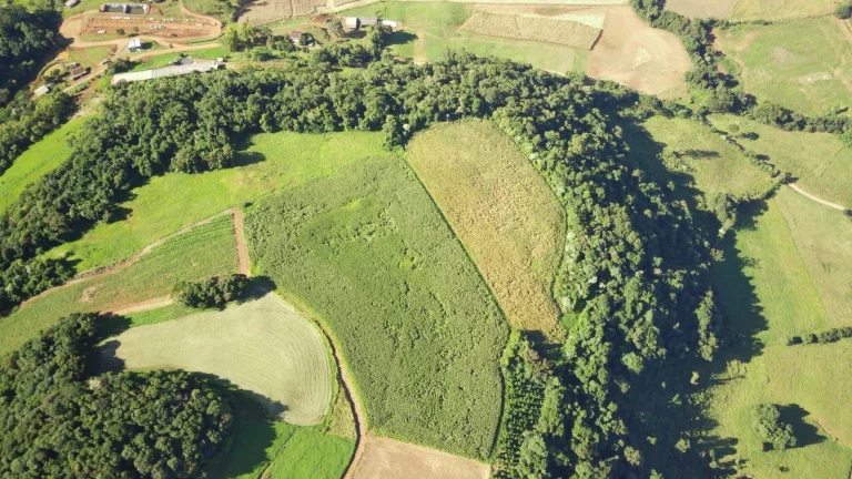Imagem Área Agrícola para Venda em Lindóia do Sul, Rural