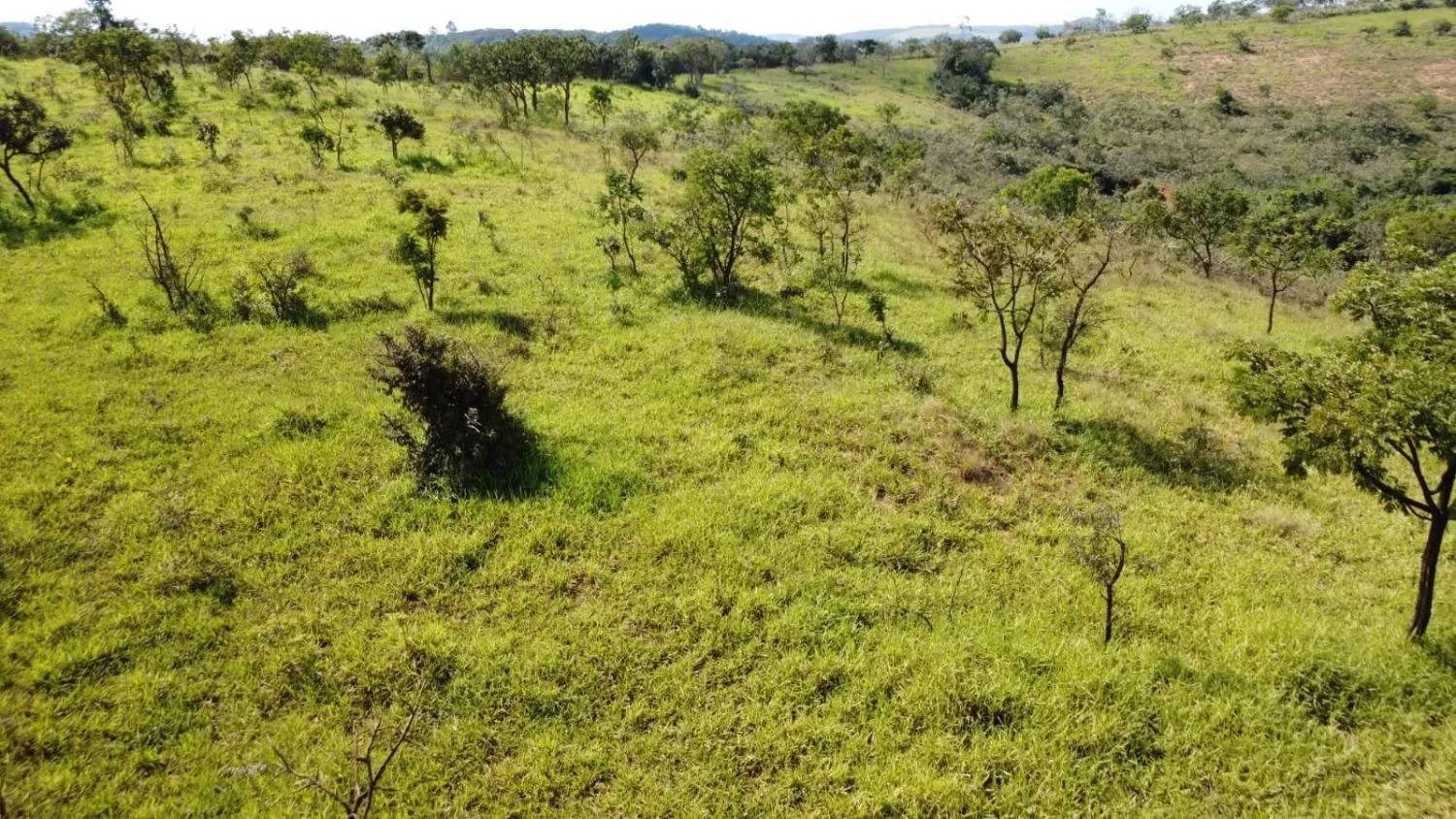 Excelente terreno rural com área de 10 hectares a venda em PASSA TEMPO/MG