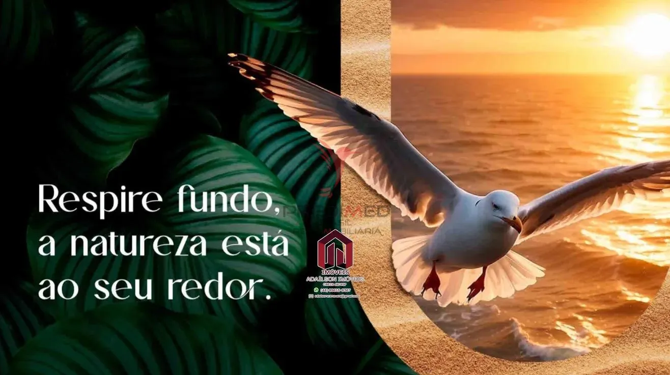 Imagem Oceanic Santa Ritta Canajurê Em Florianópolis SC BRASIL