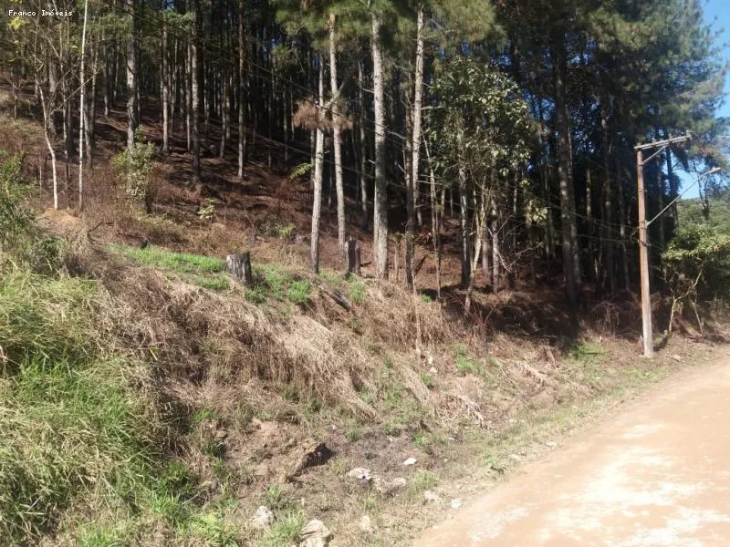 Imagem Área para Venda em Ribeirão Pires, Ouro Fino Paulista