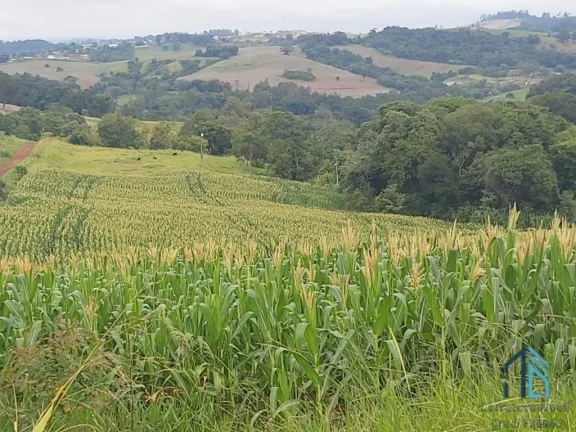 Imagem Sítio com 121.000 mil m² a venda, com Infra estrutura, no IRETEMA /Campo Mourão PR