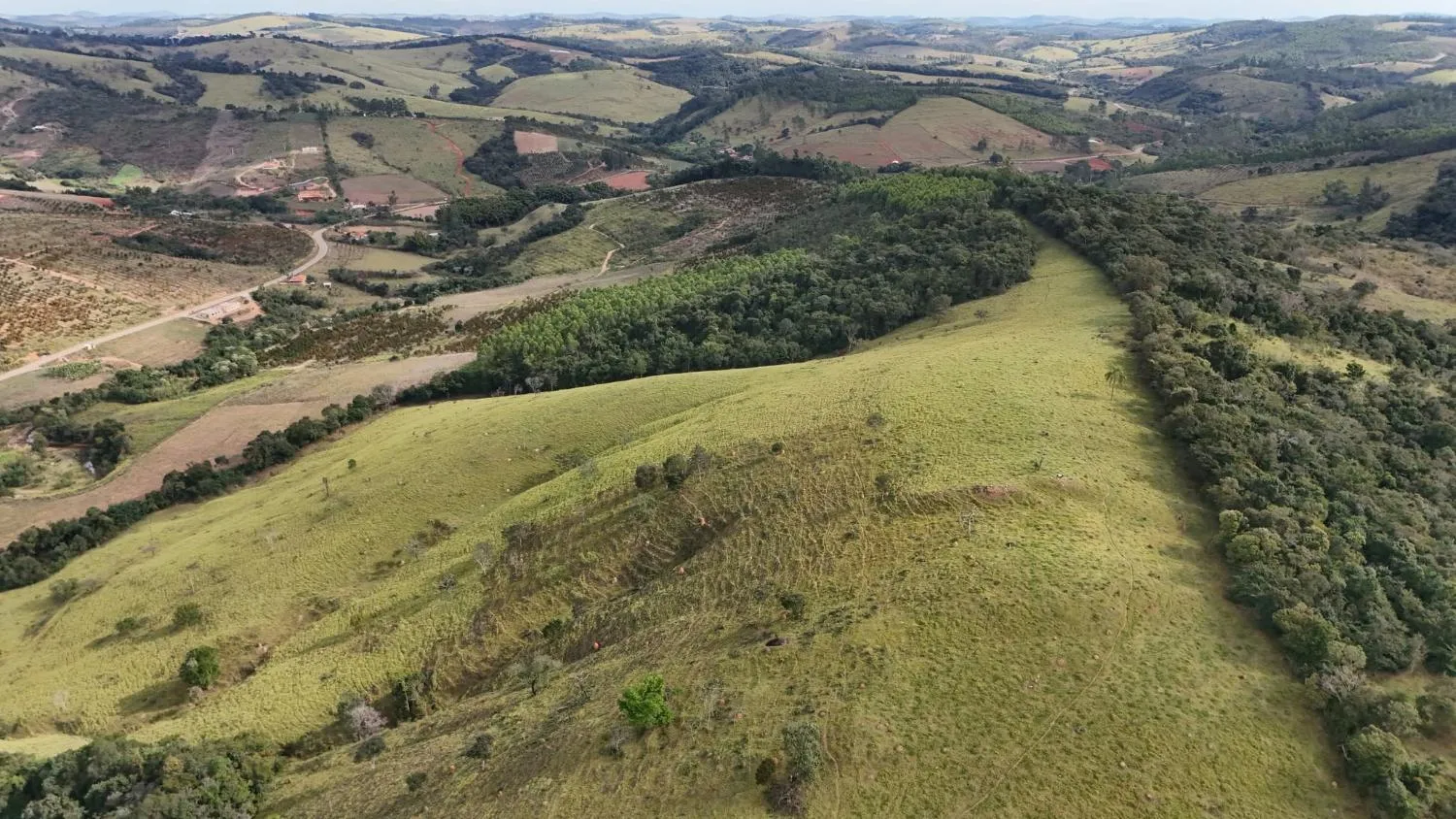Imagem Fazenda à Venda em Belo Vale/MG ? 42 Hectares | R$ 2.800.000,00