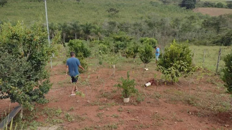 Imagem Vendo Sítio em Lagoa Dourada / MG , com 12.500 m² de área.