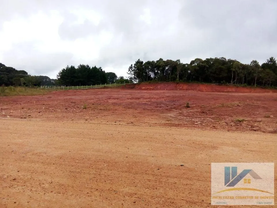 Imagem Terreno para Venda em São José dos Pinhais, Campo Largo da Roseira